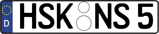HSK-NS5
