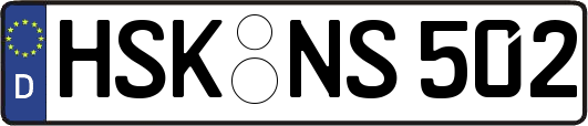 HSK-NS502
