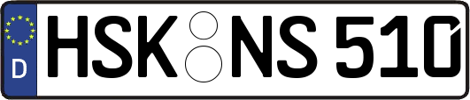 HSK-NS510
