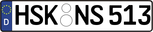 HSK-NS513