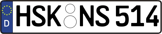 HSK-NS514
