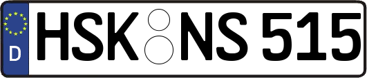 HSK-NS515
