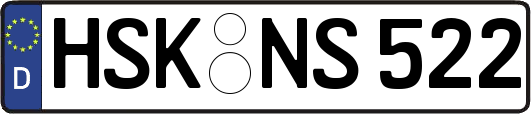 HSK-NS522