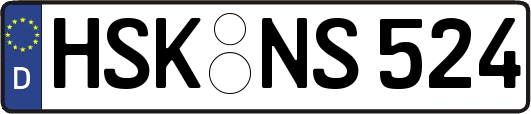 HSK-NS524