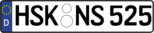 HSK-NS525