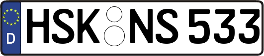HSK-NS533