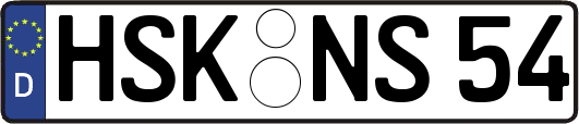 HSK-NS54