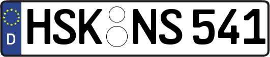 HSK-NS541