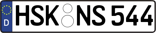 HSK-NS544