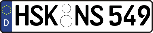 HSK-NS549