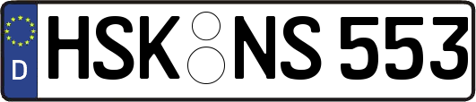 HSK-NS553