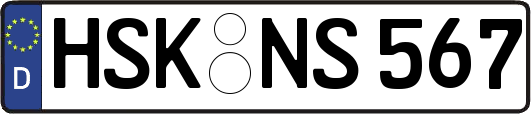HSK-NS567
