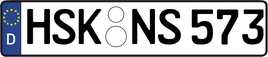 HSK-NS573