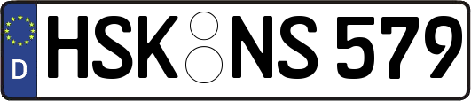 HSK-NS579