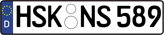 HSK-NS589