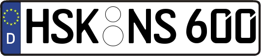 HSK-NS600