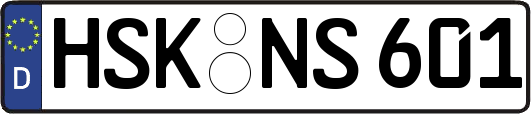 HSK-NS601