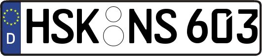 HSK-NS603