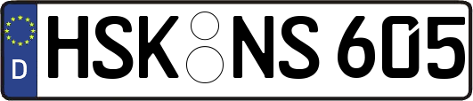 HSK-NS605