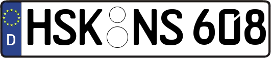HSK-NS608