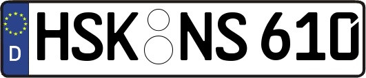 HSK-NS610