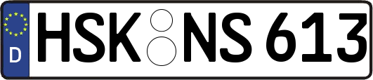 HSK-NS613