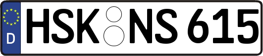 HSK-NS615