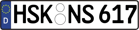 HSK-NS617