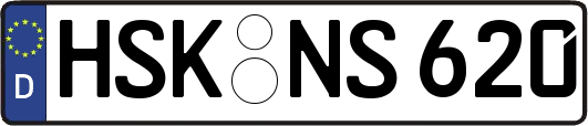 HSK-NS620