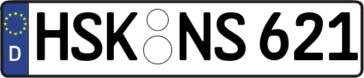 HSK-NS621