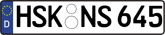 HSK-NS645