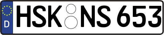 HSK-NS653