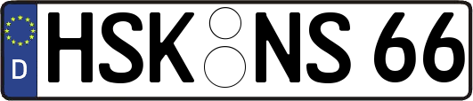 HSK-NS66