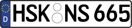 HSK-NS665