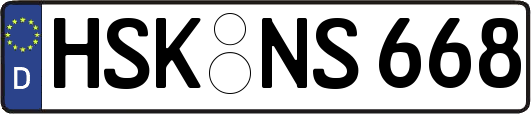 HSK-NS668