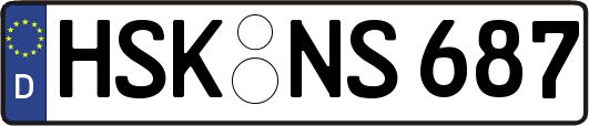 HSK-NS687