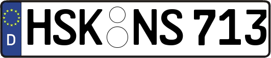 HSK-NS713