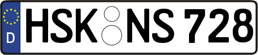 HSK-NS728