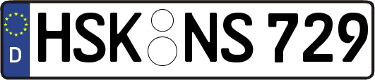 HSK-NS729