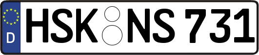 HSK-NS731