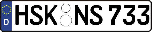 HSK-NS733