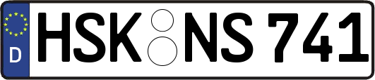HSK-NS741