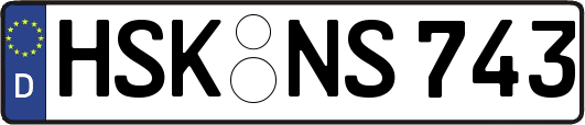 HSK-NS743