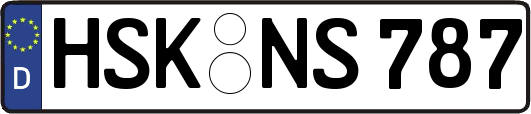 HSK-NS787