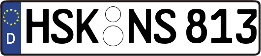 HSK-NS813