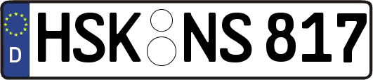 HSK-NS817