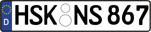 HSK-NS867
