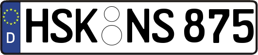 HSK-NS875