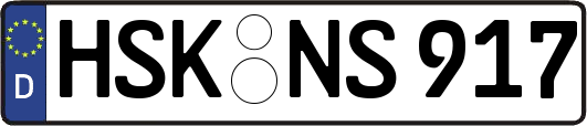 HSK-NS917