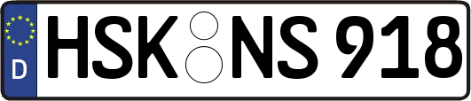 HSK-NS918